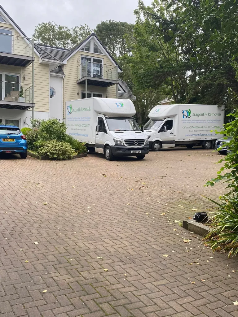 Two Dragonfly Removal vans are parked in a driveway beside a yellow house with a balcony. A blue car is parked nearby. The scene is surrounded by greenery and trees.